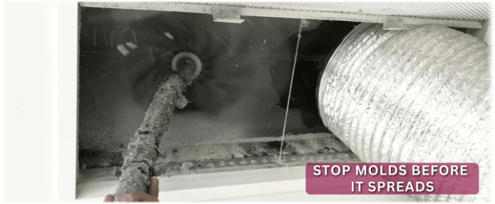 Air Duct Mold Removal in Haverhill MA