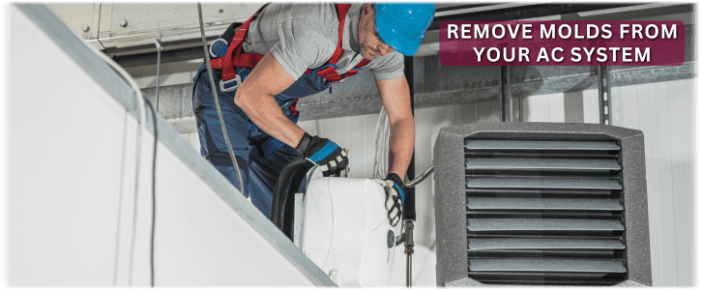 HVAC Mold Removal Haverhill MA